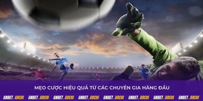 Mẹo cược hiệu quả từ các chuyên gia hàng đầu